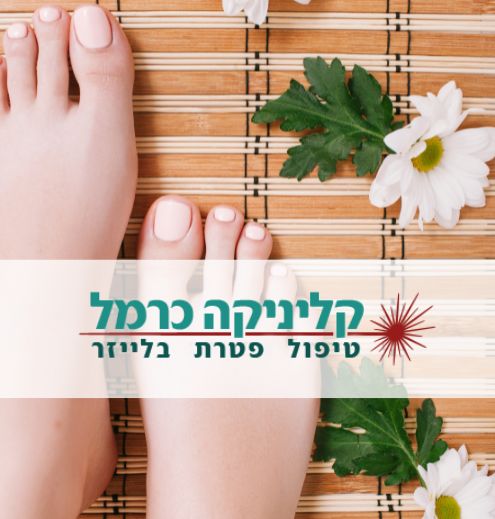 קלינקה כרמל